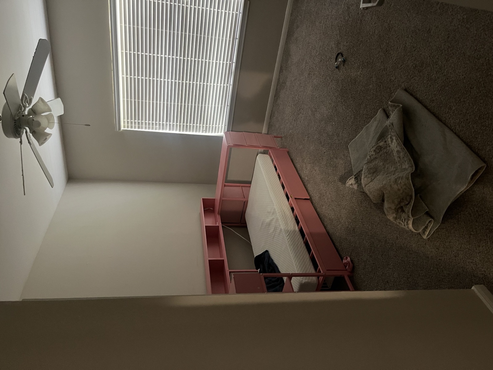Before — House Cleanout in Cypress, TX