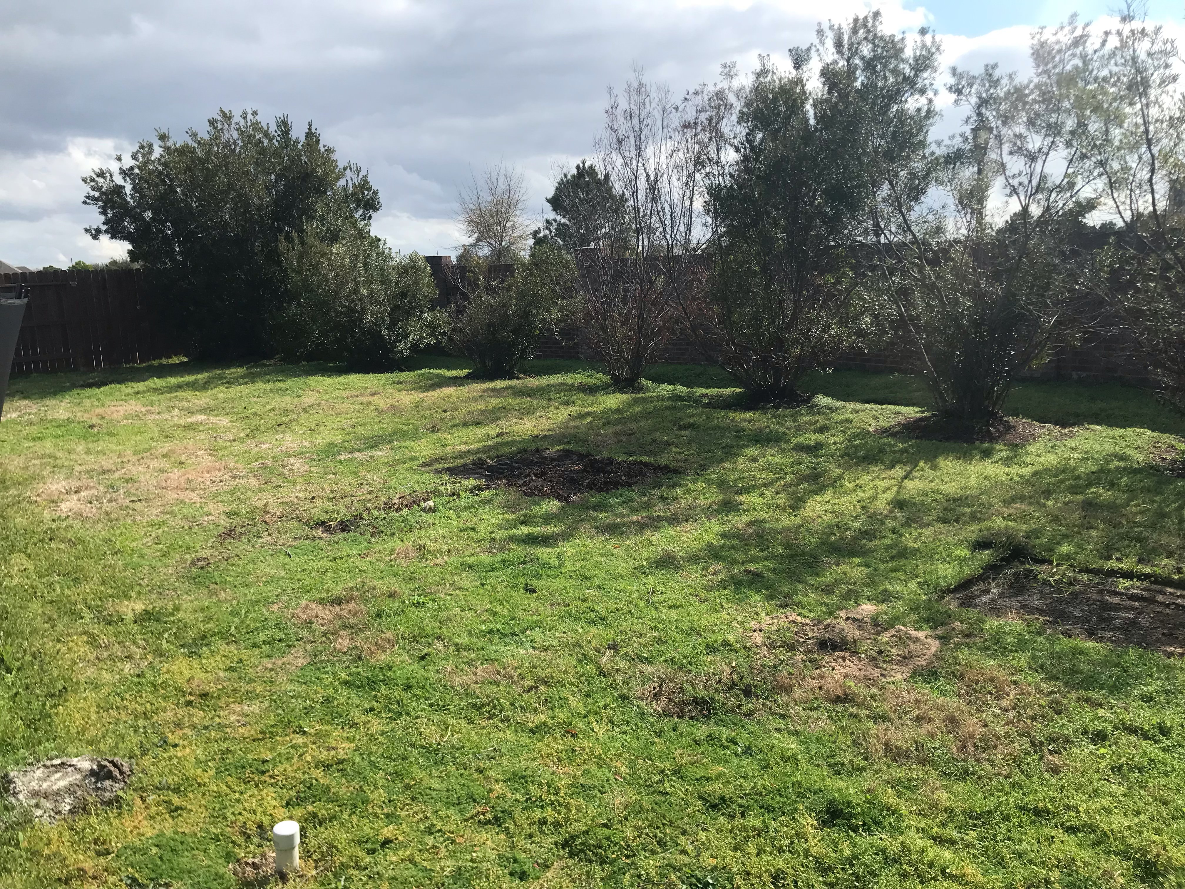 After — Swingset Removal in Cypress, TX